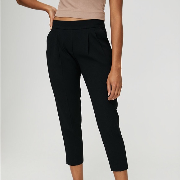 Aritzia Babaton Cohen Pant - Picture 1 of 4